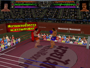 3D Muay Thai