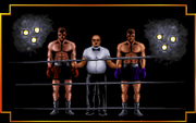 3D World Boxing