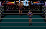 [Скриншот: 3D World Boxing]