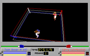 4-D Boxing