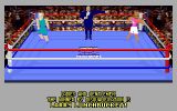 [Скриншот: 4-D Boxing]