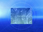 A-TYPE ayumi hamasaki touch typing software