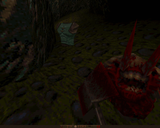 [Abyss of Pandemonium - скриншот №35]