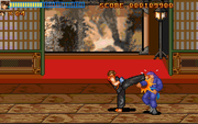 Act of Fighter