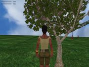 Adventures of Nyangi