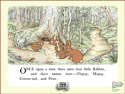 The Adventures of Peter Rabbit & Benjamin Bunny