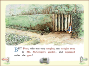 The Adventures of Peter Rabbit & Benjamin Bunny