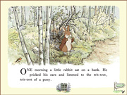 The Adventures of Peter Rabbit & Benjamin Bunny