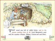 The Adventures of Peter Rabbit & Benjamin Bunny