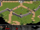 [Age of Empires - скриншот №13]