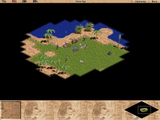 [Age of Empires - скриншот №18]