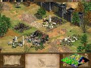 Age of Empires II: The Conquerors