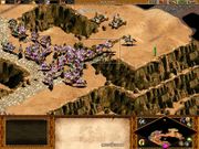 Age of Empires II: The Conquerors
