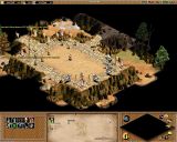 [Age of Empires II: The Conquerors - скриншот №8]