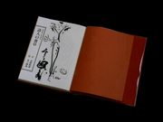 Alice: An Interactive Museum