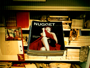 Alice: An Interactive Museum