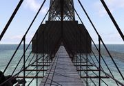 Alida: The Enigmatic Giant