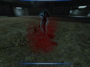 Aliens versus Predator 2