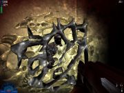 Aliens versus Predator 2