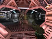 Aliens versus Predator 2