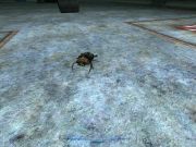 Aliens versus Predator 2