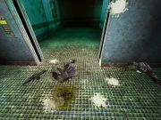 Aliens versus Predator 2