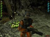 [Скриншот: Aliens versus Predator 2]