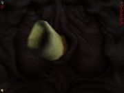 Aliens versus Predator 2: Primal Hunt