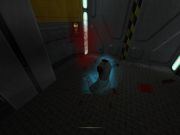 Aliens versus Predator 2: Primal Hunt