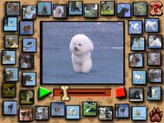 All Dogs Go to Heaven: Activity Center