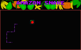 [Amazon Snake - скриншот №14]