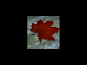 AMBER: Journeys Beyond