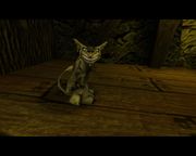 American McGee's Alice