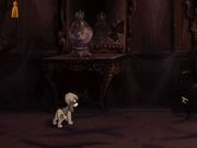 Anastasia: Adventures with Pooka and Bartok!