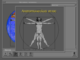 [Анатомик - скриншот №8]