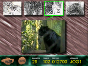 Angélica no Reino Animal