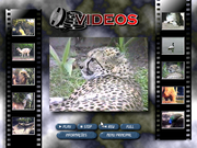 Angélica no Reino Animal