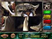 Angélica no Reino Animal