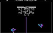 Arcade Volleyball