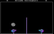 Arcade Volleyball