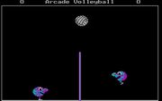 Arcade Volleyball