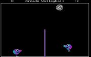 Arcade Volleyball