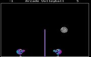Arcade Volleyball