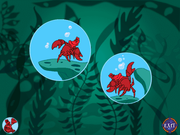 Ariel's Story Studio