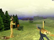 Assault at Wounded Ankle