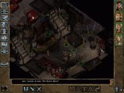 Baldur's Gate II: Shadows of Amn