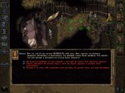 Baldur's Gate II: Shadows of Amn