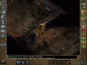 Baldur's Gate II: Shadows of Amn