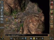 Baldur's Gate II: Shadows of Amn