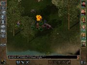 Baldur's Gate II: Shadows of Amn